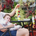 The-baby-is-immersed-in-playing-with-hanging-crib-rattle-toys